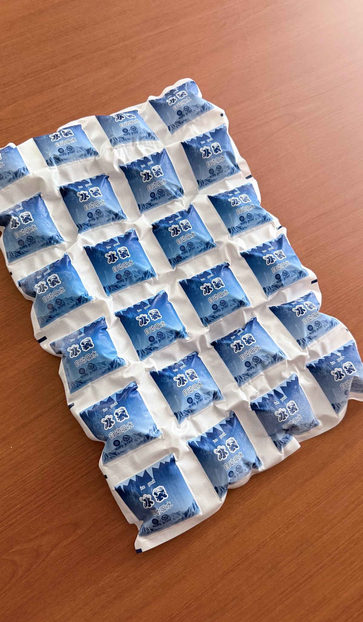 Ice Gel Pack Frozen (50gm x 24pcs for $8.00)